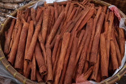 Kumpulan batang kayu manis berkualitas tinggi dalam nampan bambu di pasar rempah tradisional
