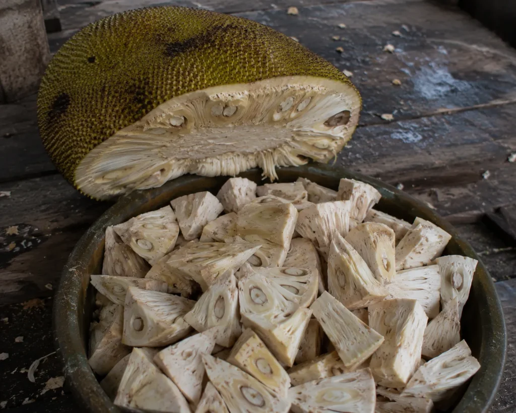 Nangka muda atau gori sebagai bahan utama pembuatan Gudeg Jogja khas Yogyakarta
