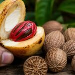Buah pala segar yang dibelah memperlihatkan fuli dan biji pala, dengan beberapa biji pala kering khas Indonesia.