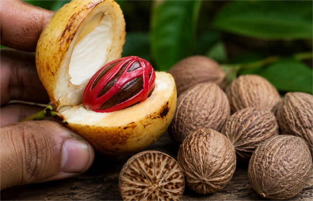 Buah pala segar yang dibelah memperlihatkan fuli dan biji pala, dengan beberapa biji pala kering khas Indonesia.