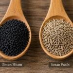 Perbedaan biji jintan hitam (Nigella sativa) dan jintan putih (Cuminum cyminum) pada dua sendok kayu sebagai ilustrasi rempah dapur.