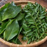 Daun salam dan salam koja segar dalam satu wadah